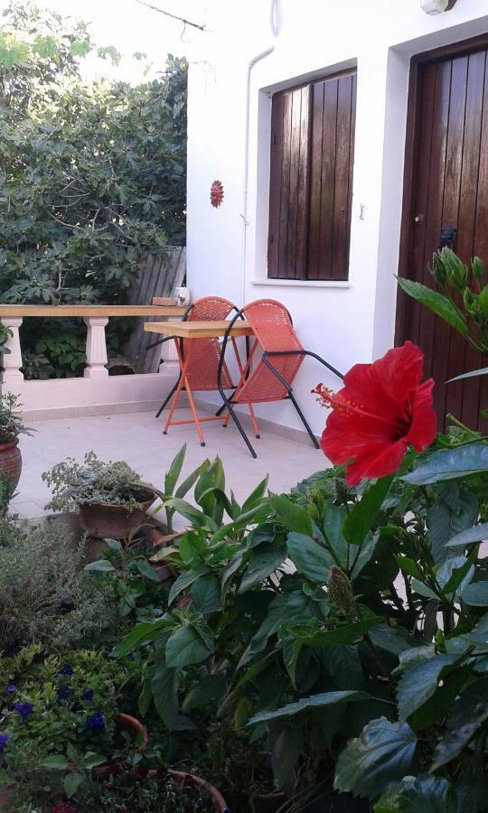 Αmmos rooms Palaiochora Exterior foto